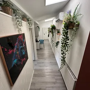 https://dea-dreams-marghera-43.italymilanhotels.net